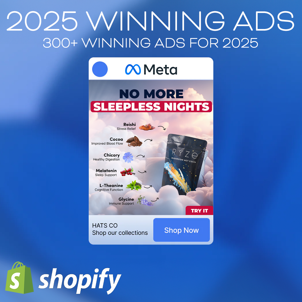 2025 Winning Ads - 300+ Canva Creatives